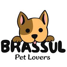Brassul